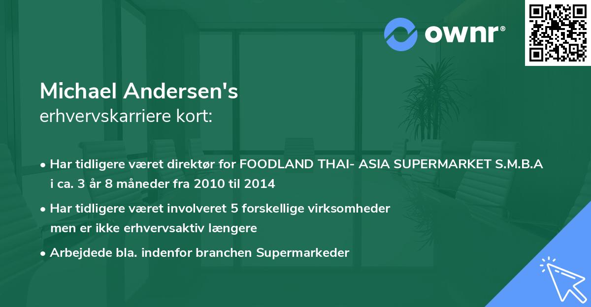 Michael Andersen's erhvervskarriere kort