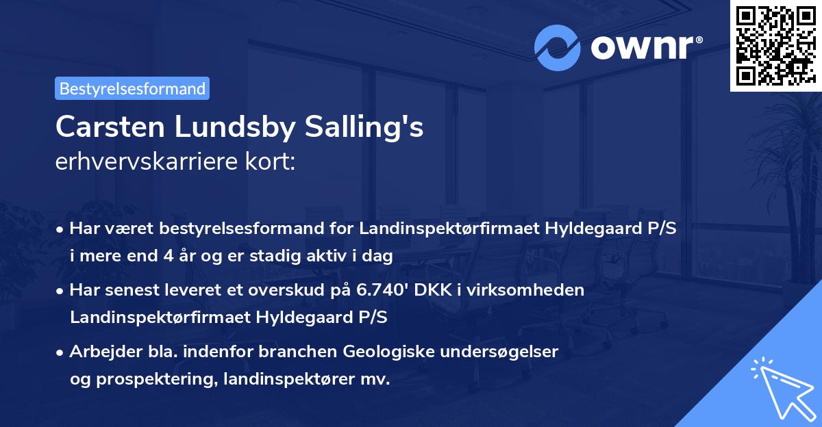 Carsten Lundsby Salling's erhvervskarriere kort