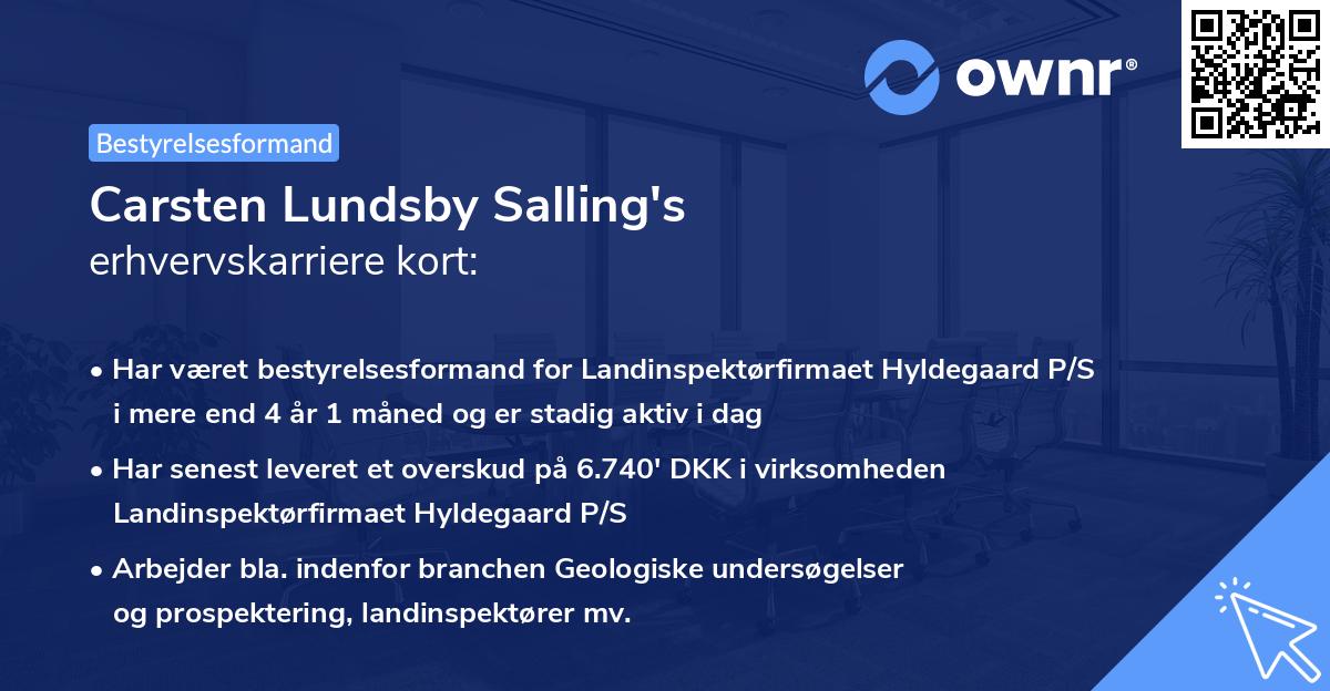 Carsten Lundsby Salling's erhvervskarriere kort