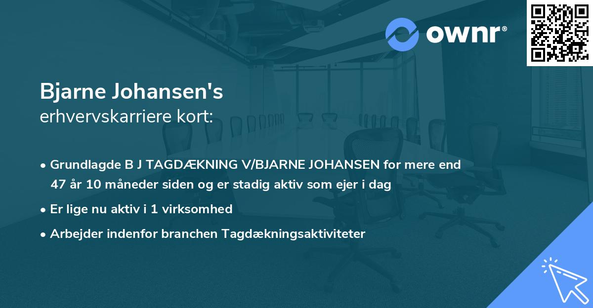 Bjarne Johansen's erhvervskarriere kort