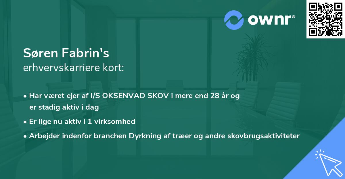 Søren Fabrin's erhvervskarriere kort