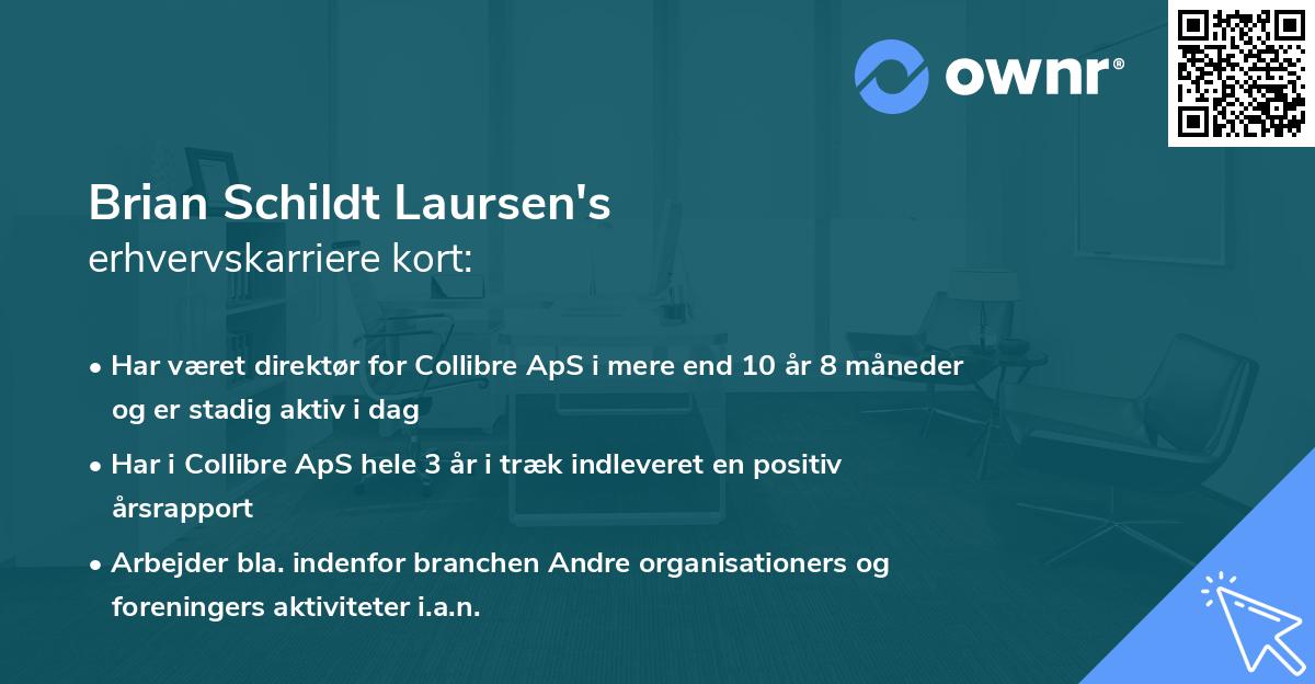 Brian Schildt Laursen's erhvervskarriere kort
