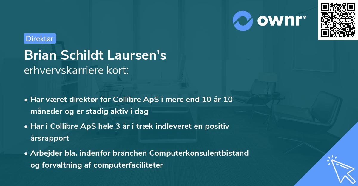 Brian Schildt Laursen's erhvervskarriere kort