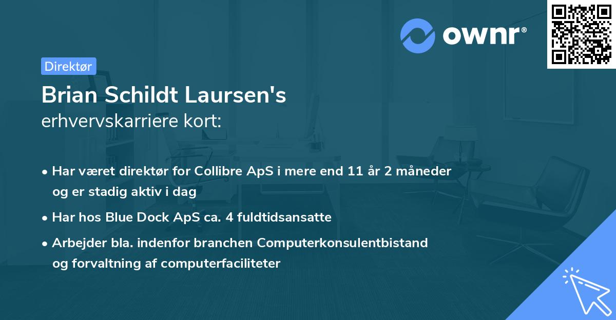 Brian Schildt Laursen's erhvervskarriere kort