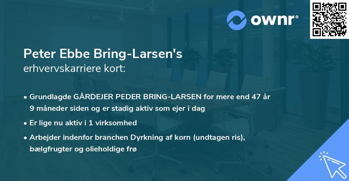 Peter Ebbe Bring-Larsen's erhvervskarriere kort