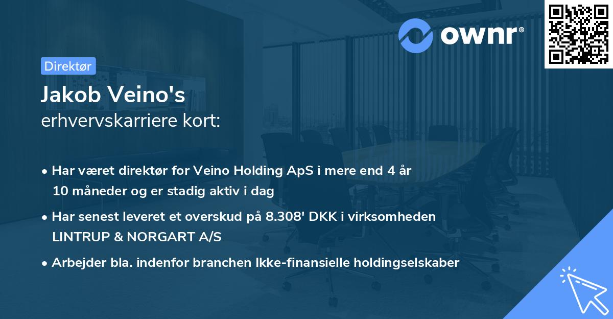 Jakob Veino's erhvervskarriere kort