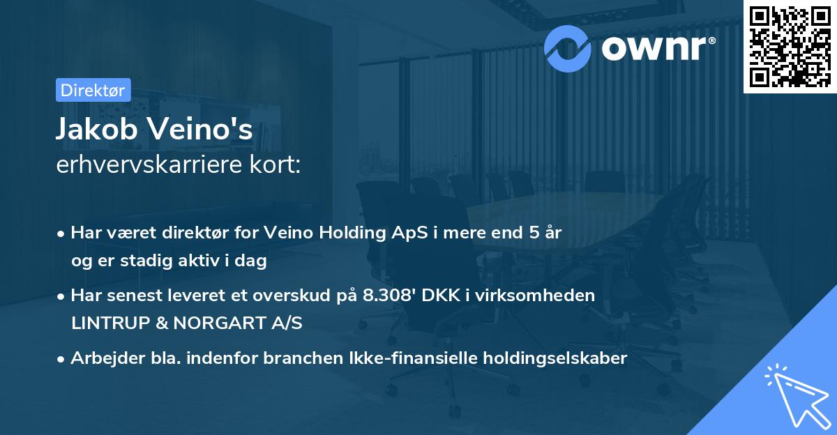 Jakob Veino's erhvervskarriere kort
