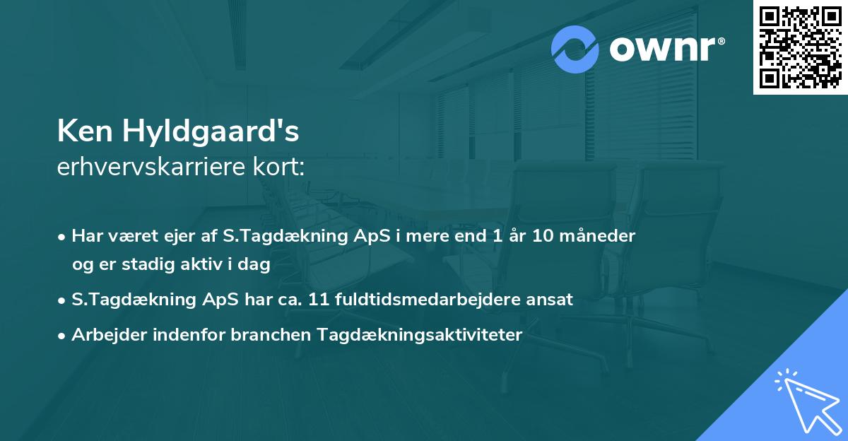 Ken Hyldgaard's erhvervskarriere kort