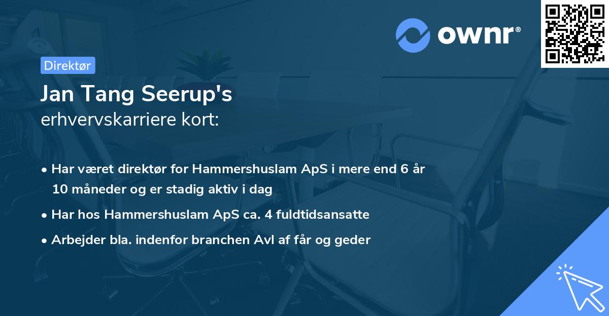 Jan Tang Seerup's erhvervskarriere kort