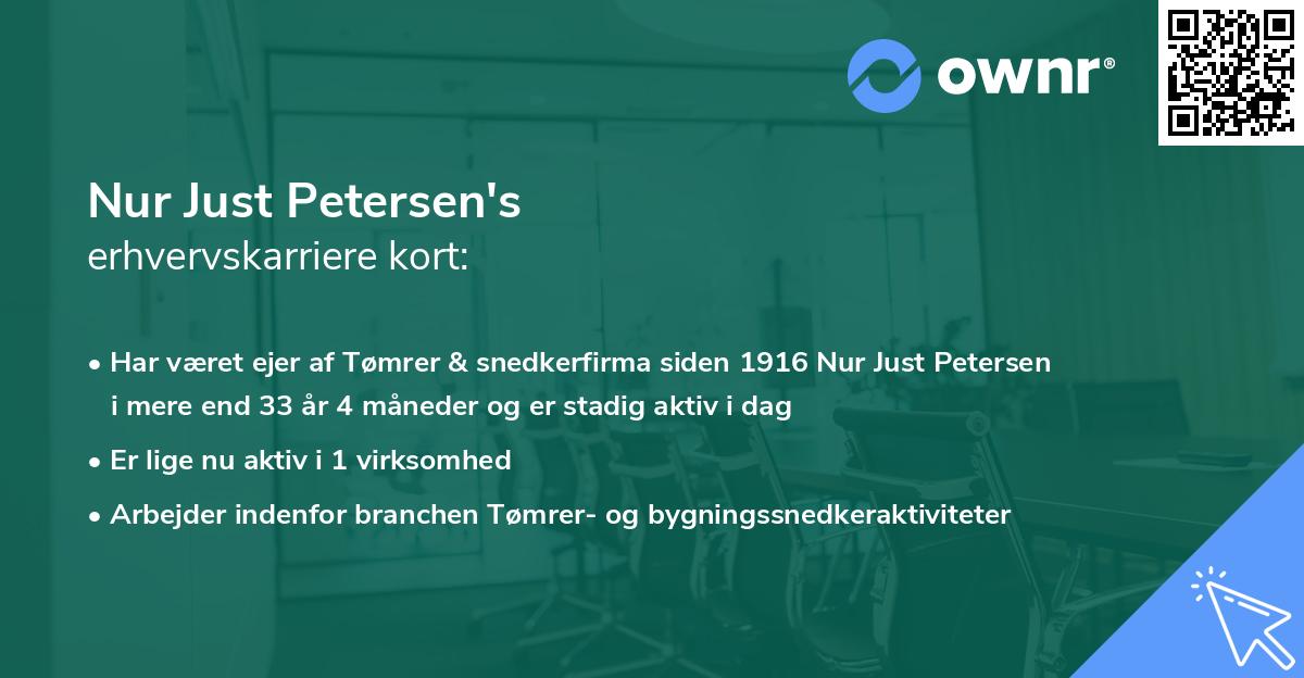 Nur Just Petersen's erhvervskarriere kort