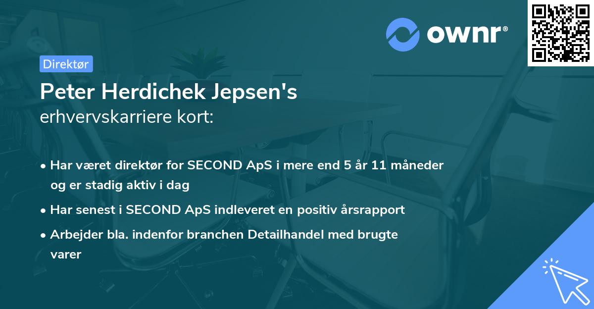 Peter Herdichek Jepsen's erhvervskarriere kort