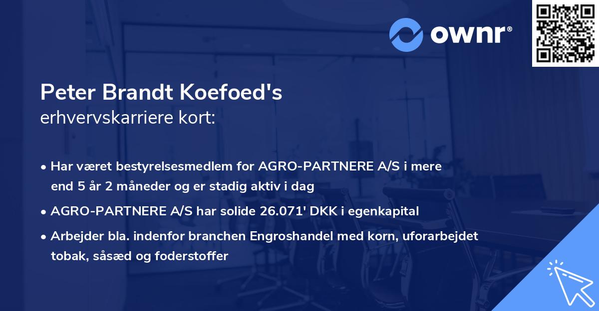 Peter Brandt Koefoed's erhvervskarriere kort
