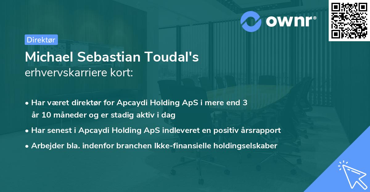 Michael Sebastian Toudal's erhvervskarriere kort