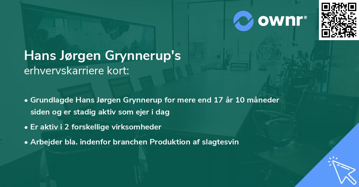 Hans Jørgen Grynnerup's erhvervskarriere kort
