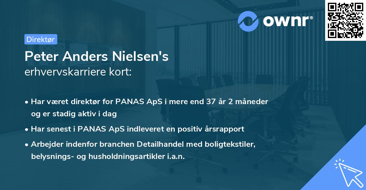 Peter Anders Nielsen's erhvervskarriere kort