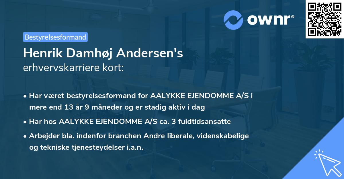 Henrik Damhøj Andersen's erhvervskarriere kort