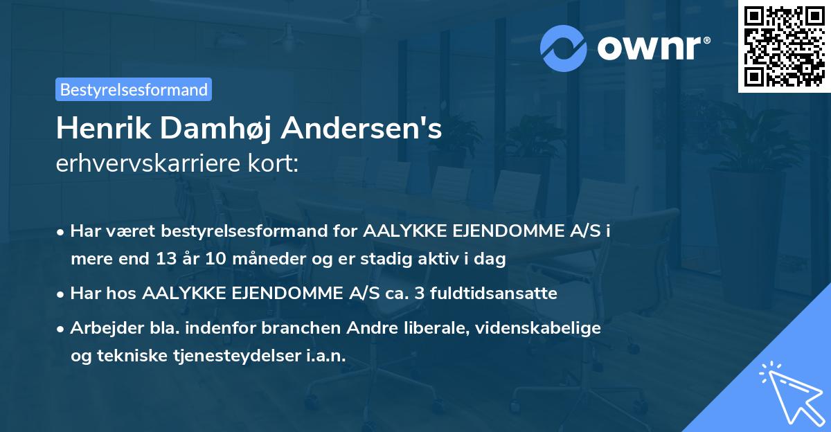 Henrik Damhøj Andersen's erhvervskarriere kort