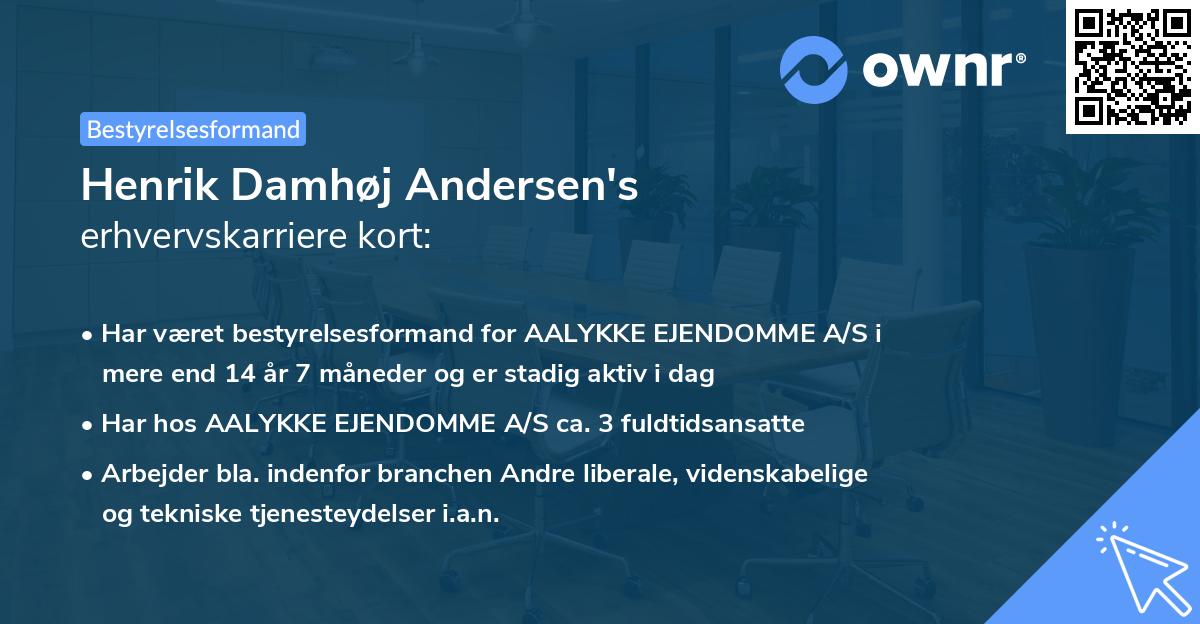 Henrik Damhøj Andersen's erhvervskarriere kort
