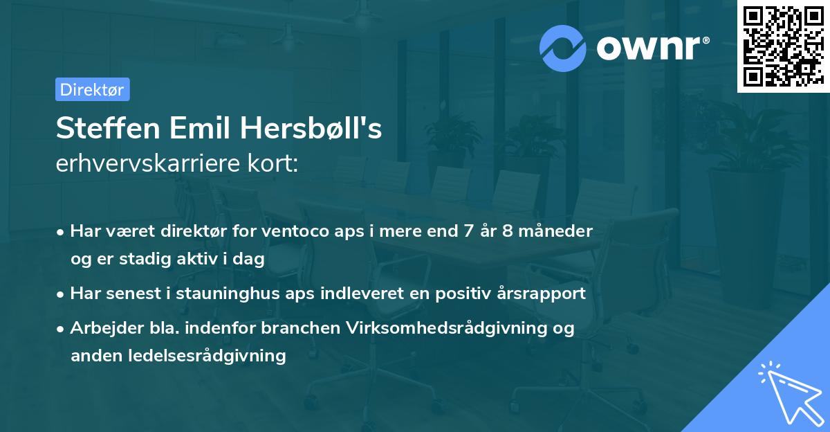 Steffen Emil Hersbøll's erhvervskarriere kort
