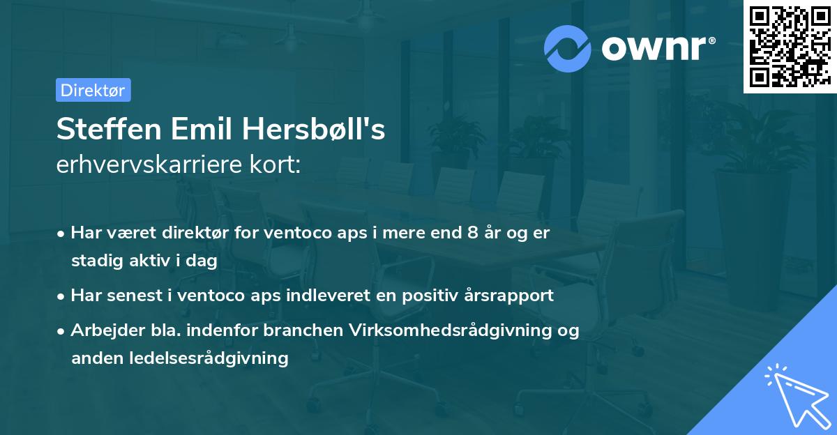 Steffen Emil Hersbøll's erhvervskarriere kort