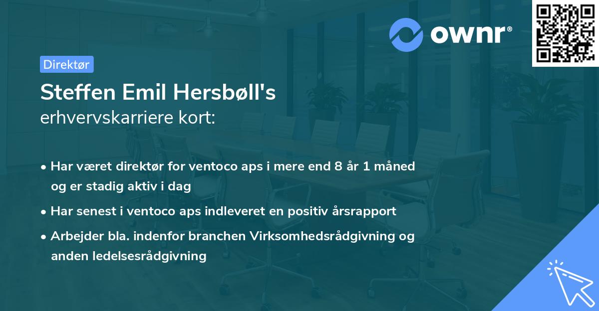 Steffen Emil Hersbøll's erhvervskarriere kort