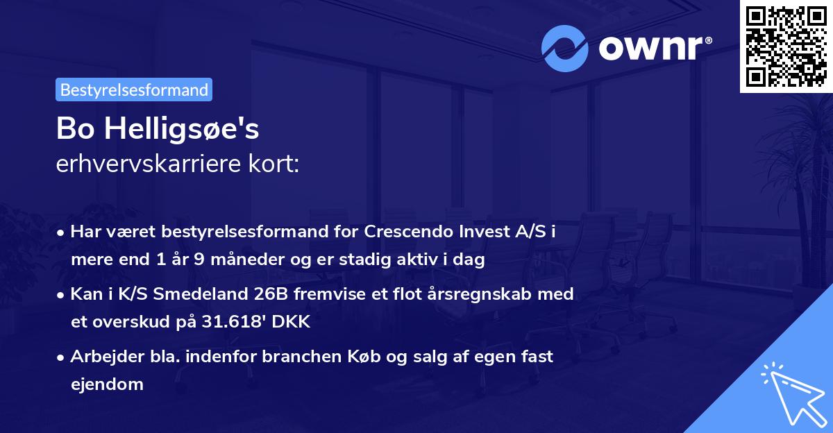 Bo Helligsøe's erhvervskarriere kort
