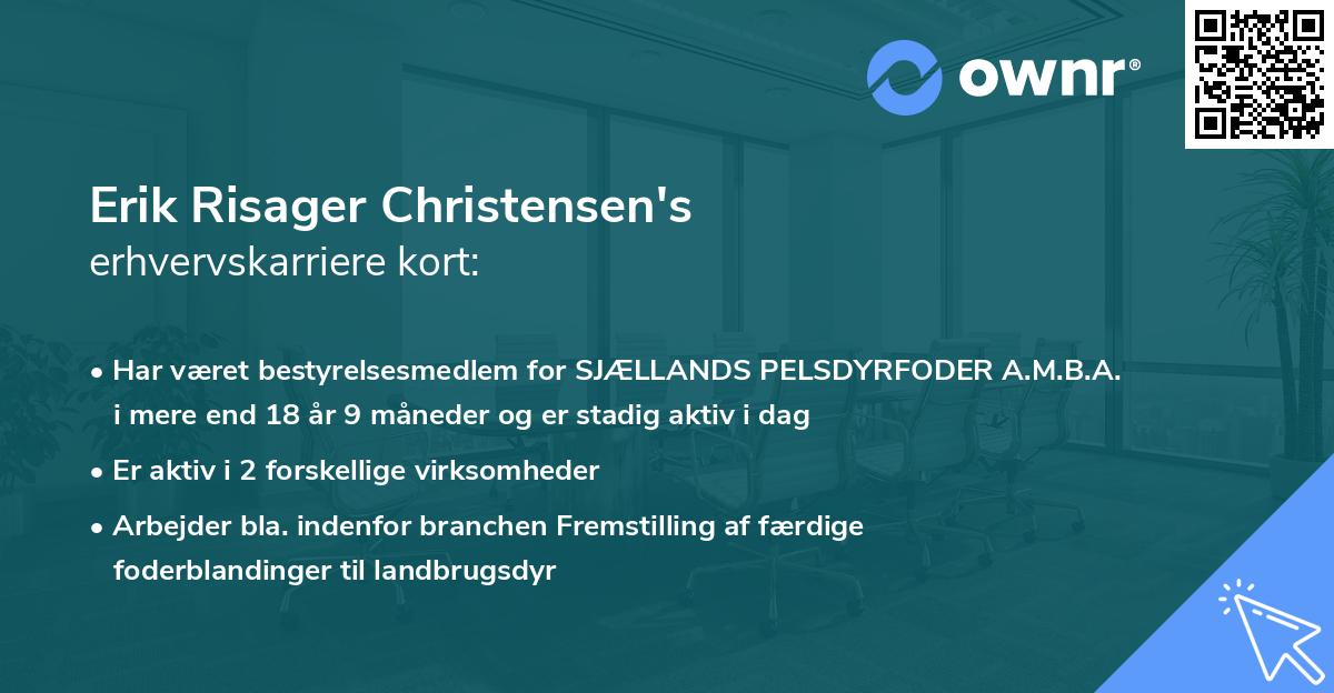 Erik Risager Christensen's erhvervskarriere kort
