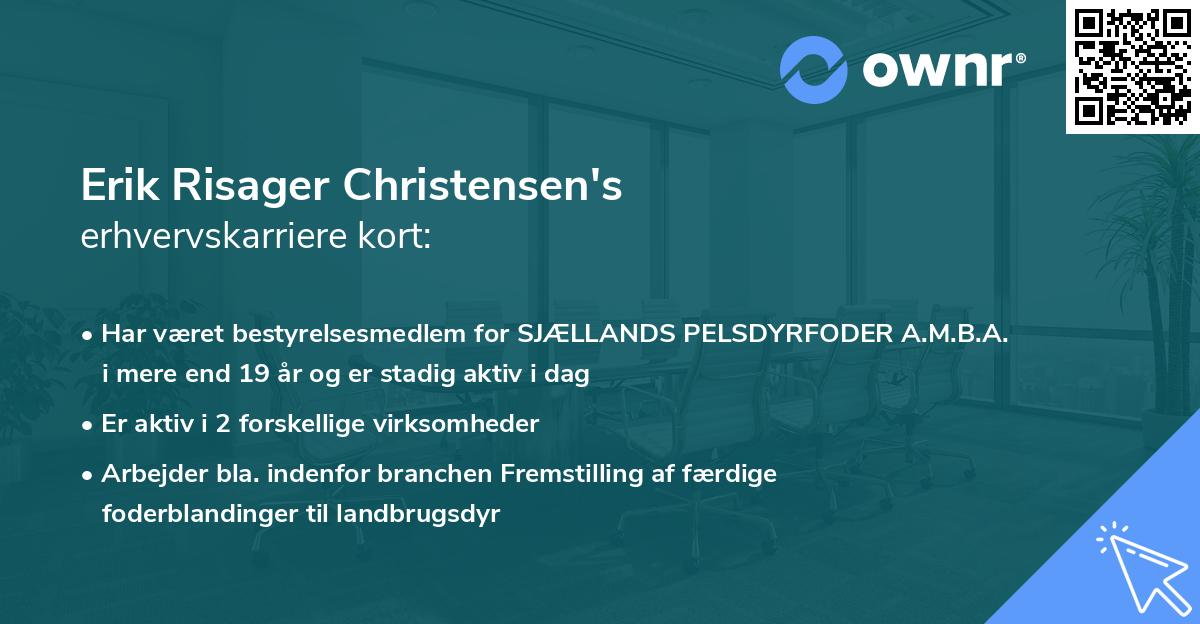 Erik Risager Christensen's erhvervskarriere kort