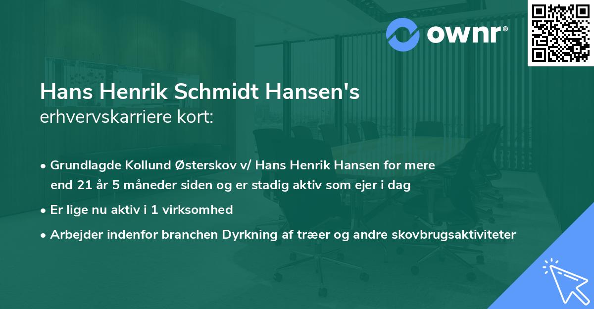 Hans Henrik Schmidt Hansen's erhvervskarriere kort