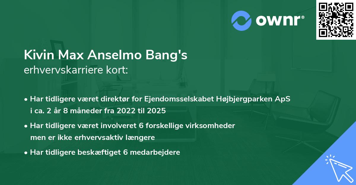 Kivin Max Anselmo Bang's erhvervskarriere kort
