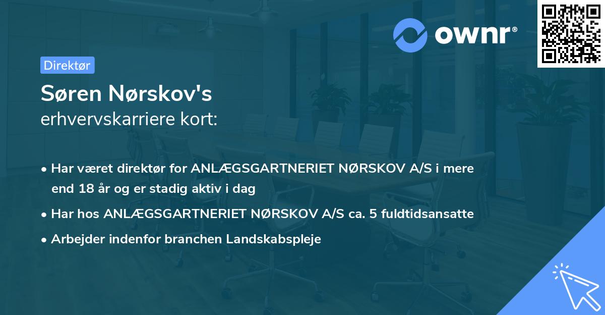 Søren Nørskov's erhvervskarriere kort