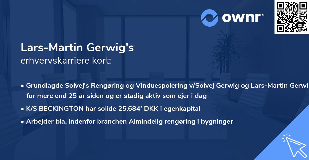 Lars-Martin Gerwig's erhvervskarriere kort