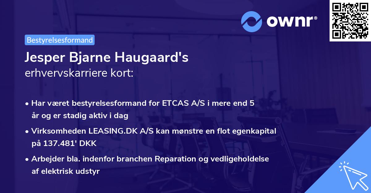 Jesper Bjarne Haugaard's erhvervskarriere kort