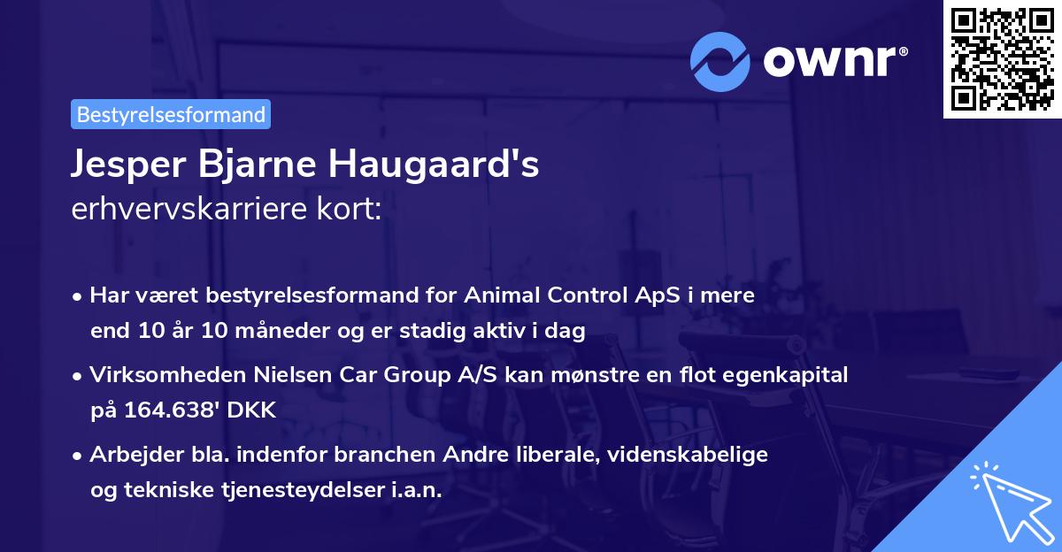 Jesper Bjarne Haugaard's erhvervskarriere kort