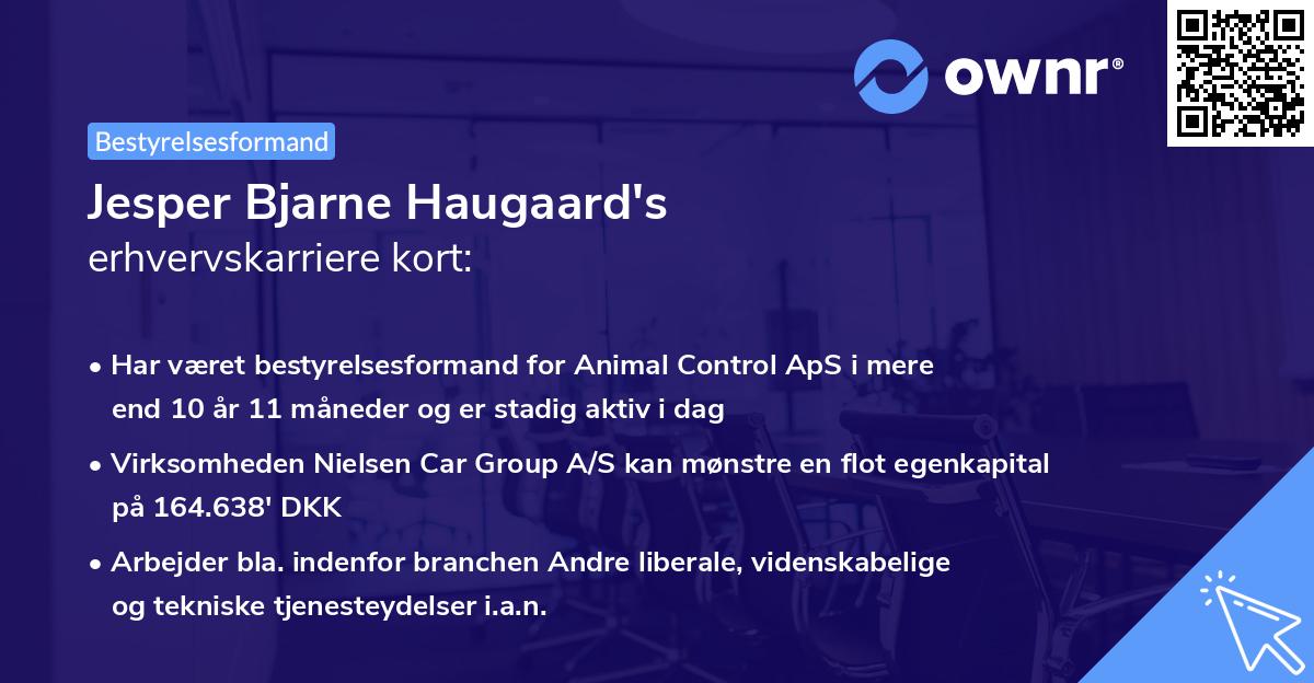 Jesper Bjarne Haugaard's erhvervskarriere kort