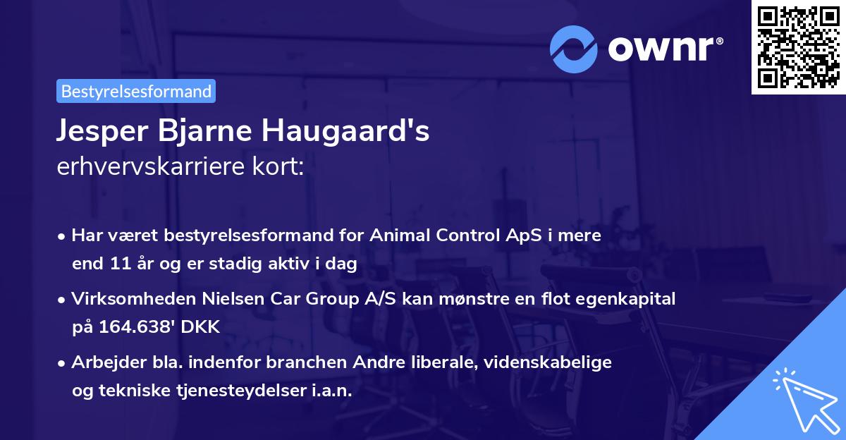 Jesper Bjarne Haugaard's erhvervskarriere kort