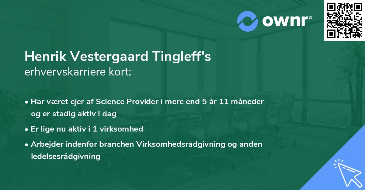 Henrik Vestergaard Tingleff's erhvervskarriere kort