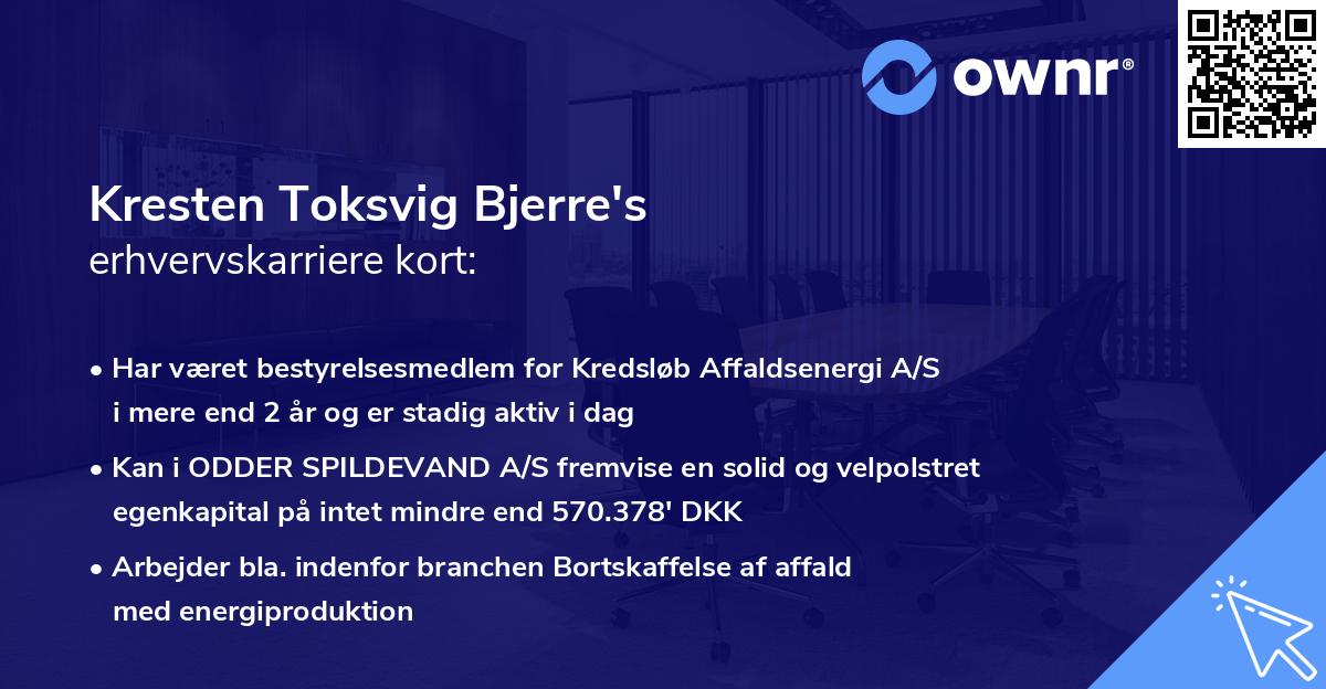 Kresten Toksvig Bjerre's erhvervskarriere kort