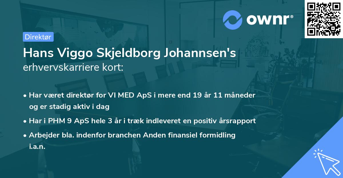 Hans Viggo Skjeldborg Johannsen's erhvervskarriere kort