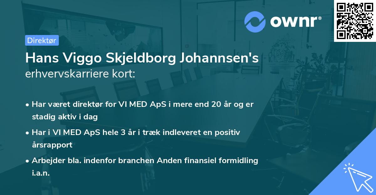 Hans Viggo Skjeldborg Johannsen's erhvervskarriere kort