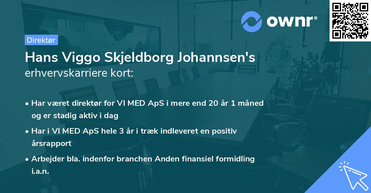 Hans Viggo Skjeldborg Johannsen's erhvervskarriere kort