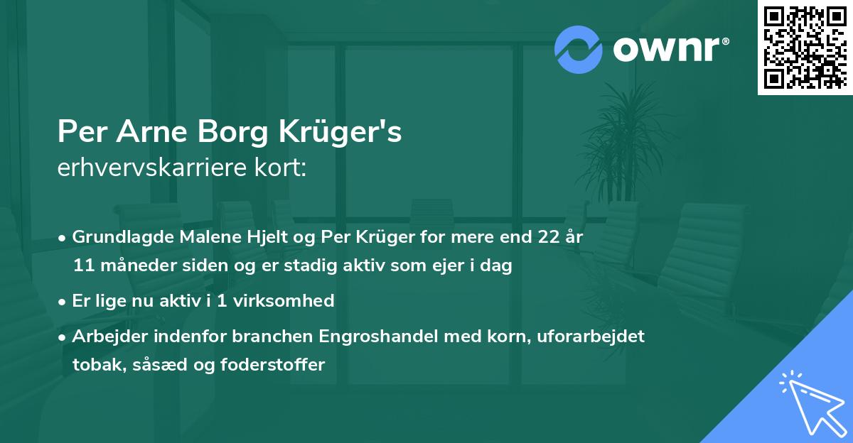 Per Arne Borg Krüger's erhvervskarriere kort