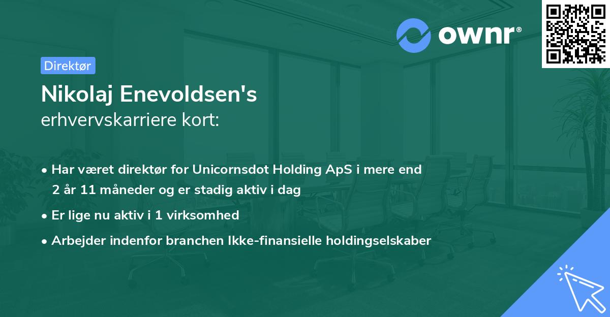 Nikolaj Enevoldsen's erhvervskarriere kort