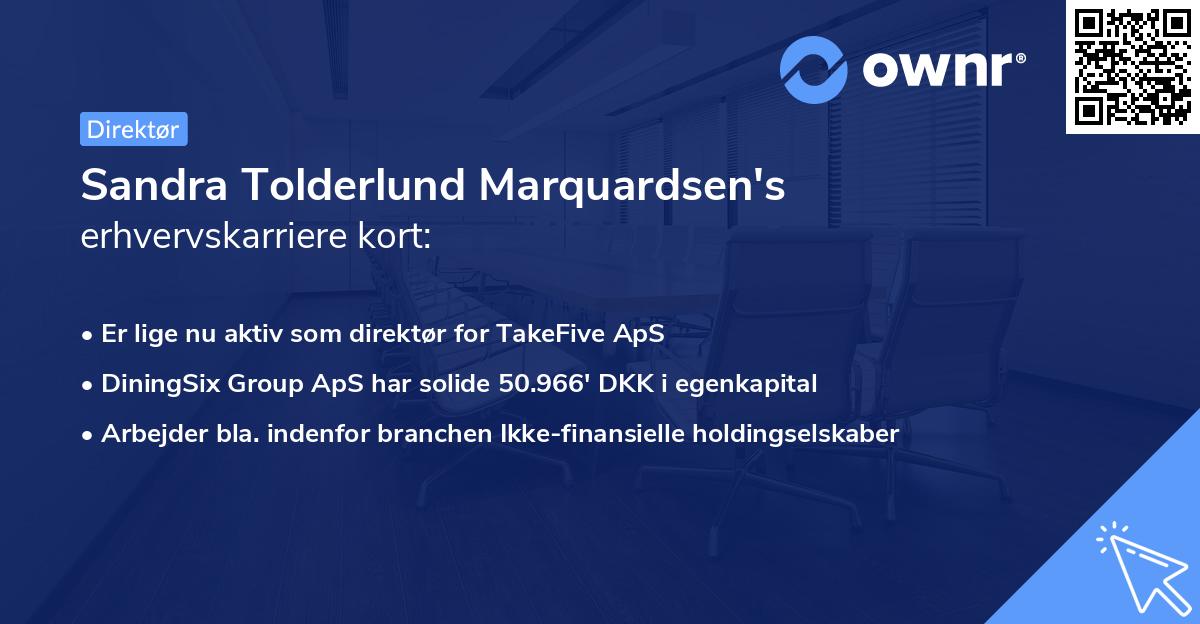 Sandra Tolderlund Marquardsen's erhvervskarriere kort