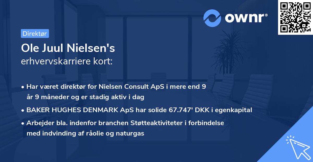 Ole Juul Nielsen's erhvervskarriere kort
