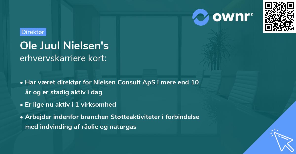 Ole Juul Nielsen's erhvervskarriere kort
