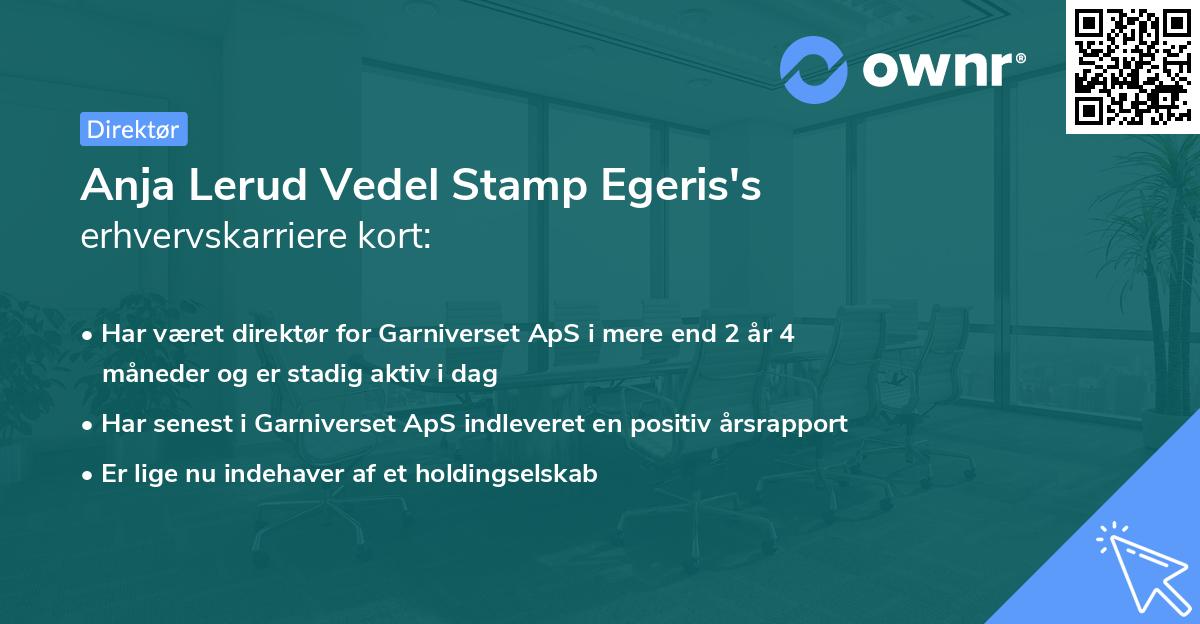 Anja Lerud Vedel Stamp Egeris's erhvervskarriere kort