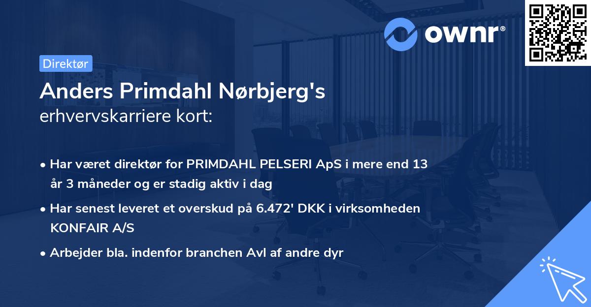 Anders Primdahl Nørbjerg's erhvervskarriere kort