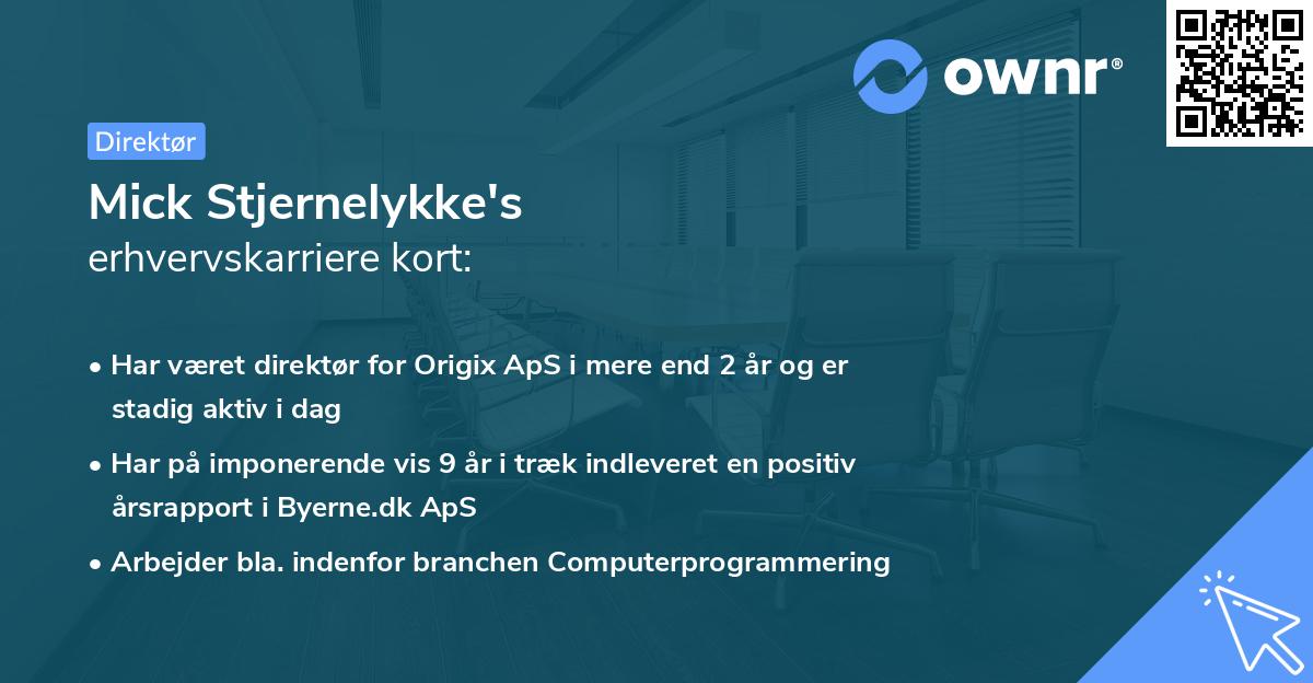 Mick Stjernelykke's erhvervskarriere kort