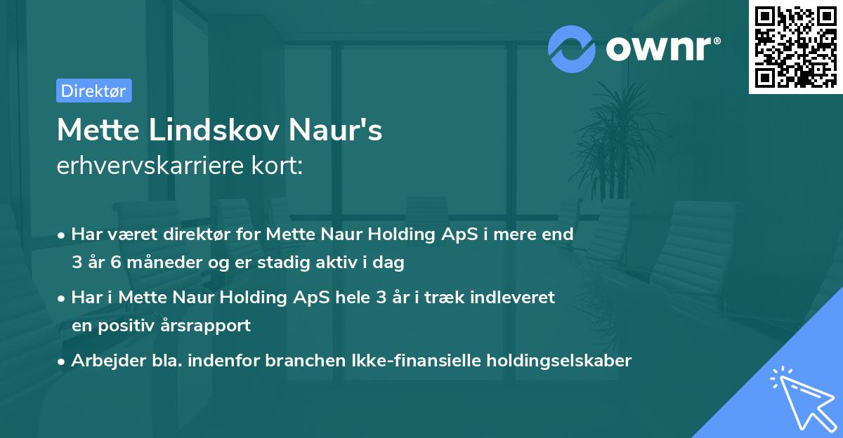 Mette Lindskov Naur's erhvervskarriere kort